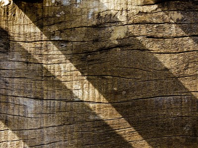 Wooden Texture background