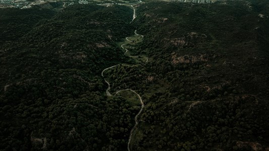 Aerial view of a road with greenery