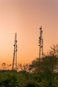 Sunset view of two telecom towers with tree and bushes in the foreground