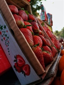 Street Strawberry
