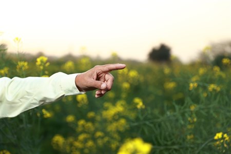 Man's hand pointing in some direction with fields as background