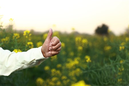 Man giving a thumbs up with fields as background