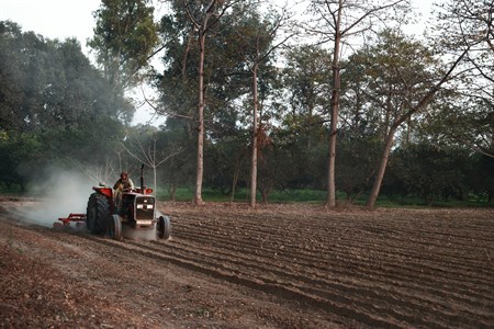 Tractor doing working in the farm
