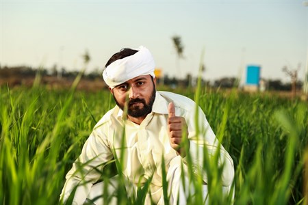 Farming giving a thumbs up while sitting in the fields
