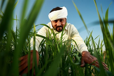 Man in traditional clothes looking through the fields