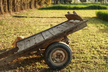 animal-less wooden cart in fields