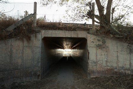 light coming from the end of empty tunnel covered with dried leaves