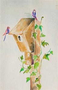 painting of bird house