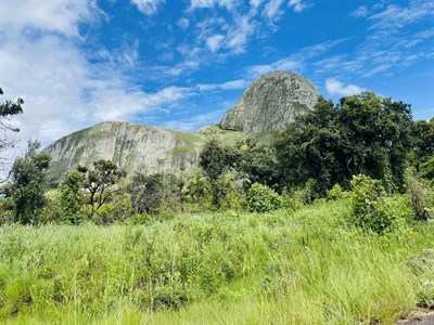 Elephant mountain rock