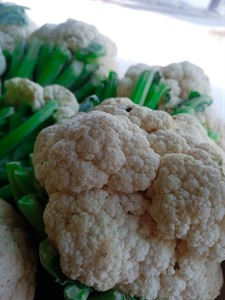 Cauliflower Vegetable