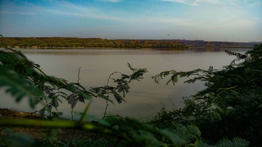 A thorny bush with Thaddo dam lake in the background