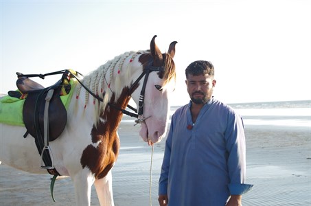 Horse man in beach