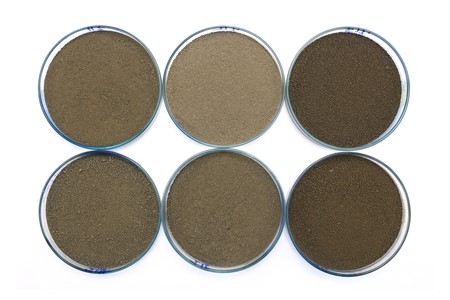 soil samples closeup with Petri dishes 