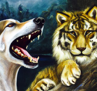wolf and tiger oil painting photo
