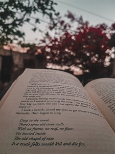 Books and Evening