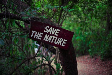 Save the Nature