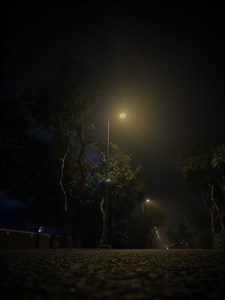 Night street view